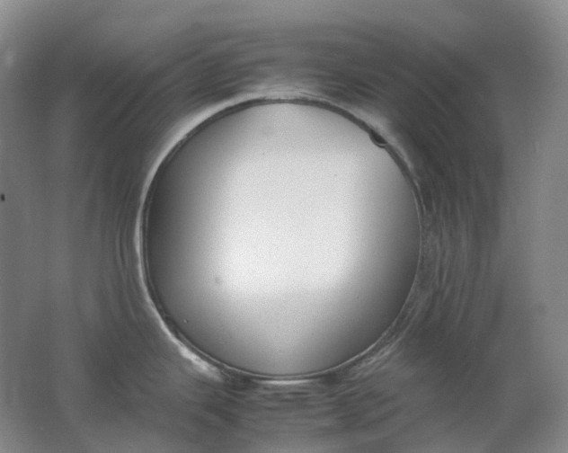 X0000062151343200512231522
