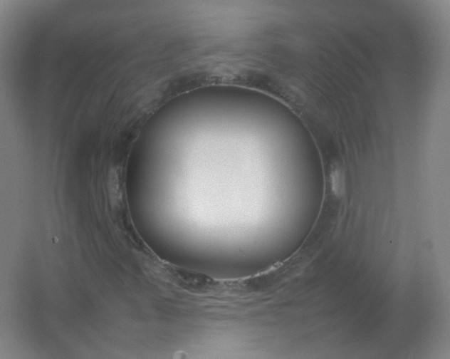 X0000062151347200512231521