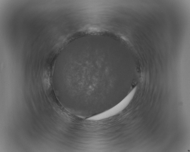 X0000062151348200512231521