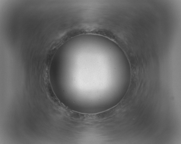X0000062151349200512231521
