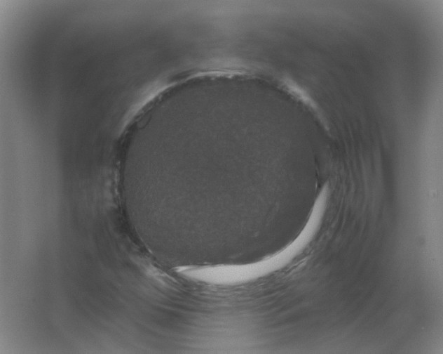 X0000062151352200512231521