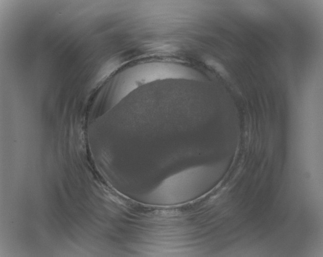 X0000062151354200512231521