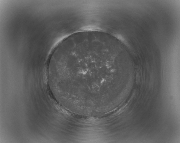 X0000062151358200512231521