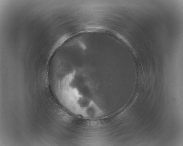 X0000062151362200512231521