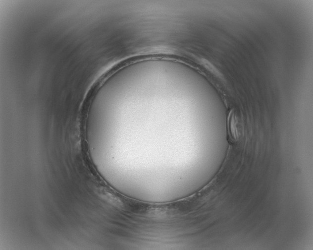 X0000062151364200512231521