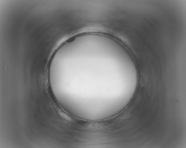X0000062151366200512231521
