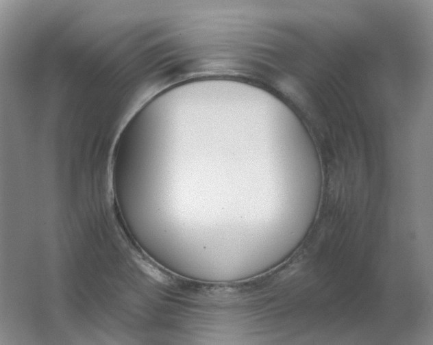 X0000062151370200512231520