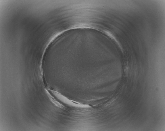 X0000062151372200512231520