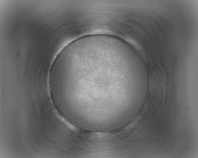 X0000062151374200512231520