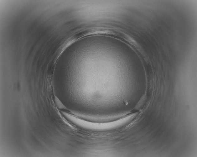 X0000062151377200512231520