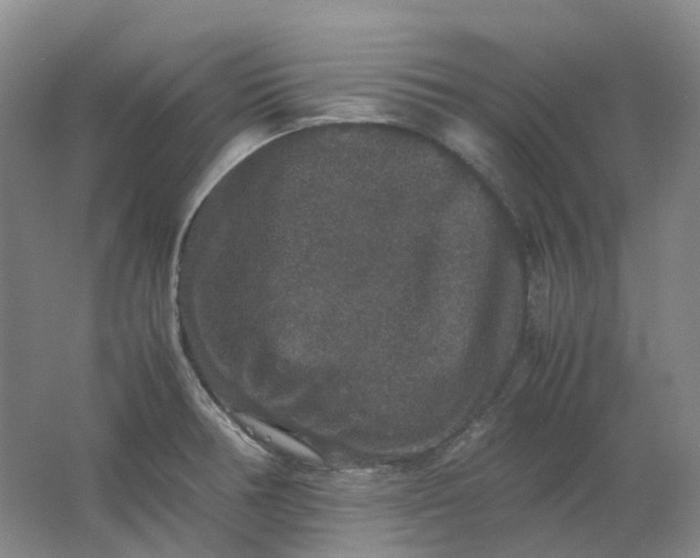 X0000062151378200512231520