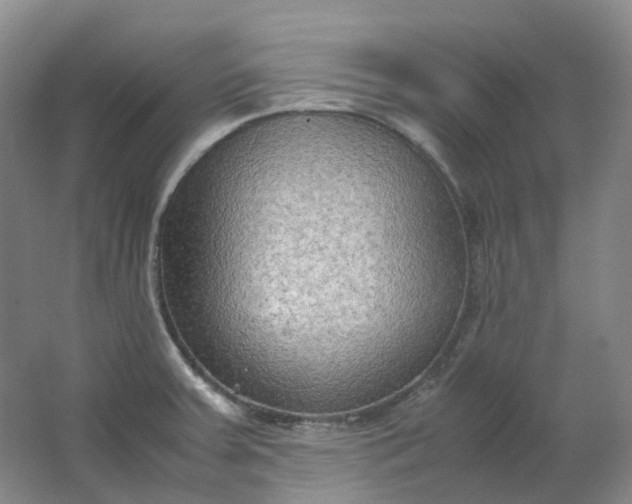 X0000062151379200512231520