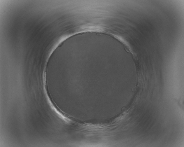 X0000062151383200512231520