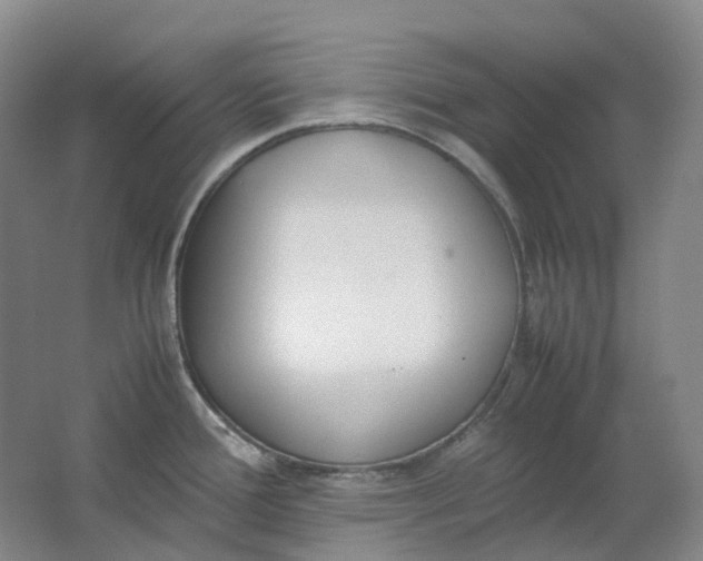 X0000062151388200512231520