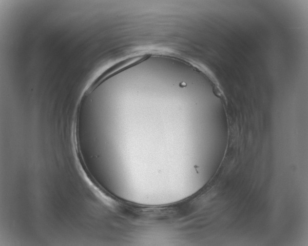 X0000062151391200512231520