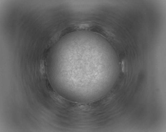 X0000062151395200512231519