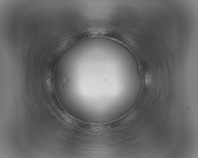 X0000062151396200512231519