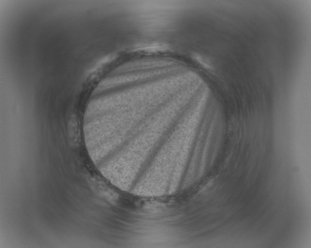 X0000062151398200512231519