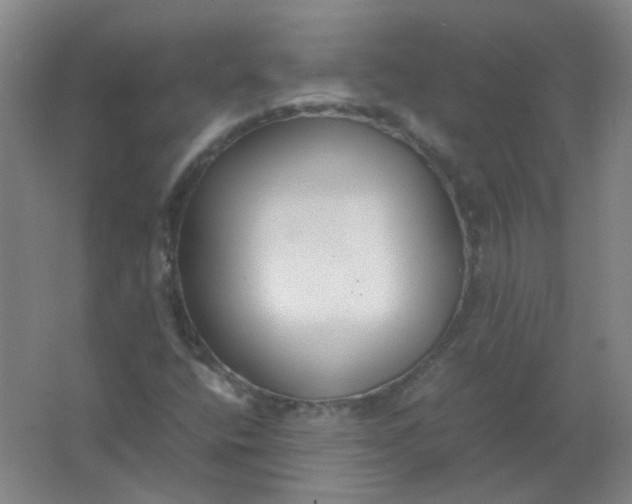 X0000062151400200512231519