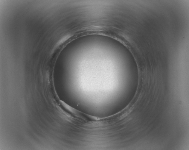 X0000062151402200512231519