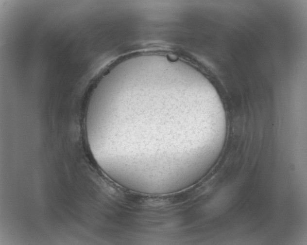 X0000062151407200512231519