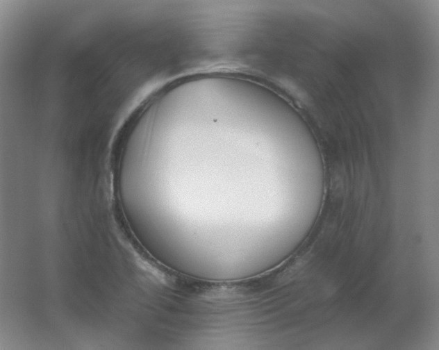 X0000062151414200512231520