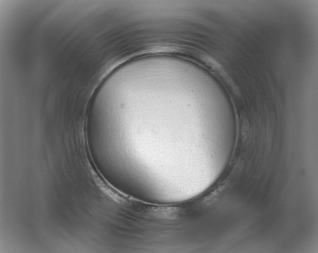 X0000062151417200512231520