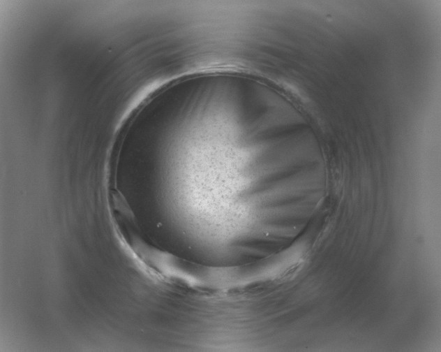 X0000062151422200512231520