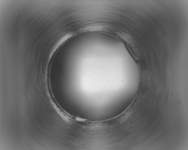 X0000062151426200512231520
