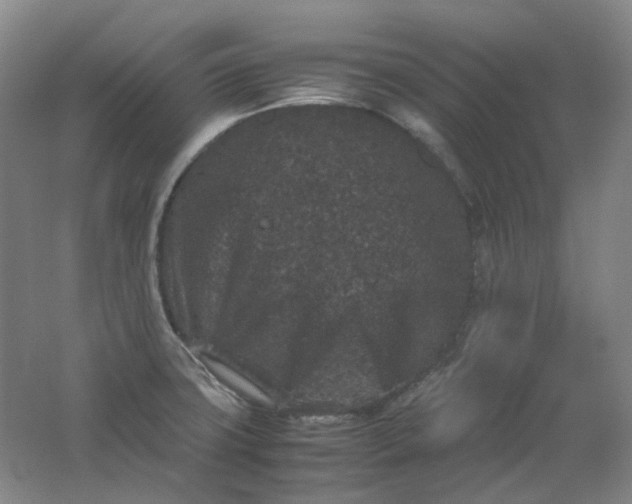 X0000062151427200512231520
