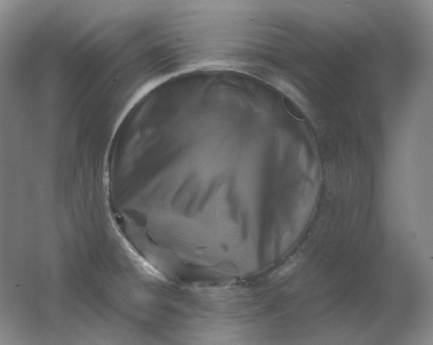 X0000062151428200512231520