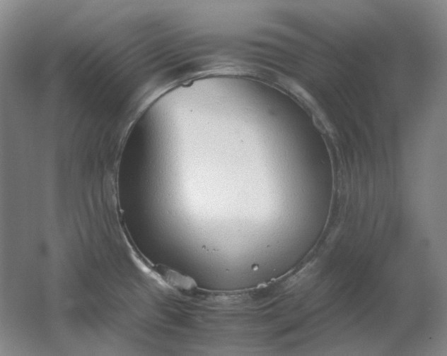 X0000062151433200512231520