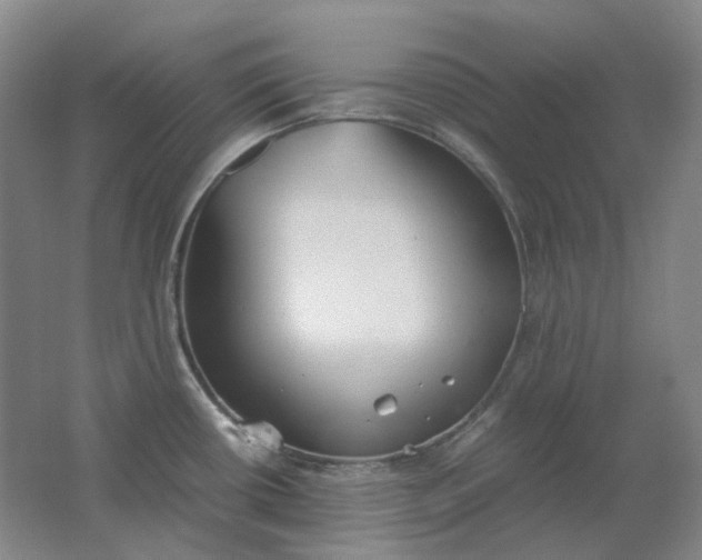 X0000062151434200512231520