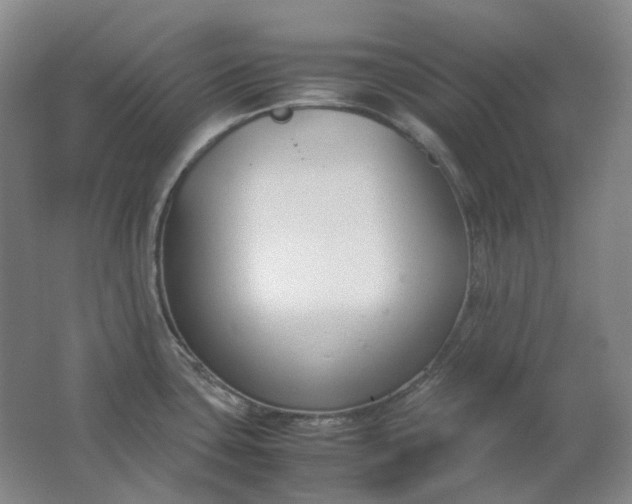 X0000062151435200512231520
