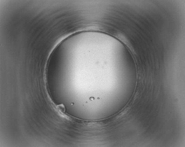 X0000062151436200512231520