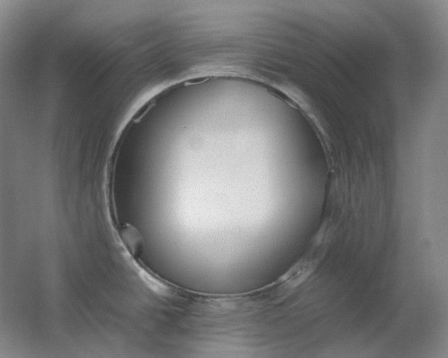 X0000062151438200512231520