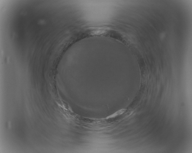 X0000062151441200512231519