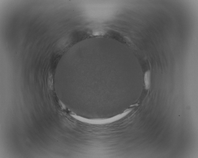 X0000062151443200512231519