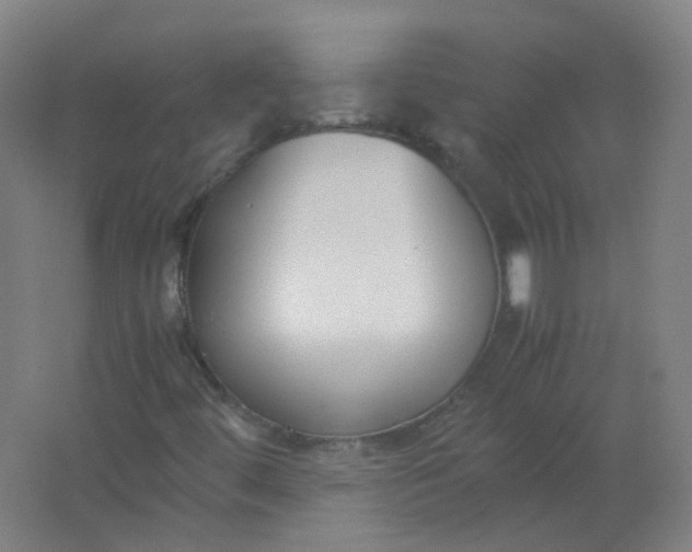 X0000062151444200512231519