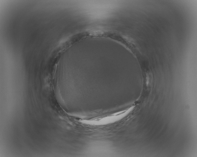 X0000062151445200512231519