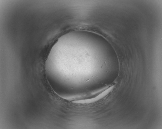 X0000062151447200512231519