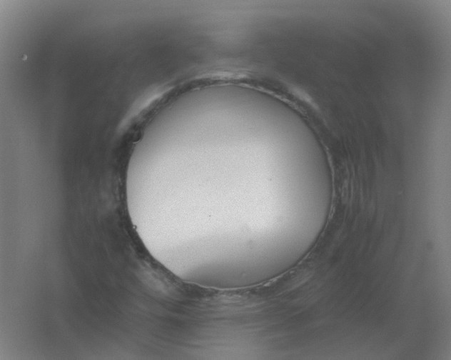 X0000062151448200512231519