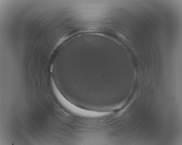 X0000062151449200512231519