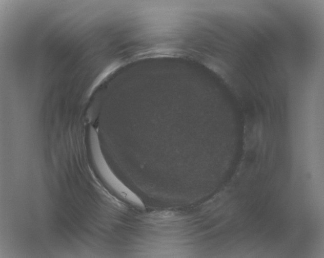 X0000062151450200512231519