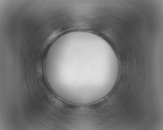 X0000062151451200512231519