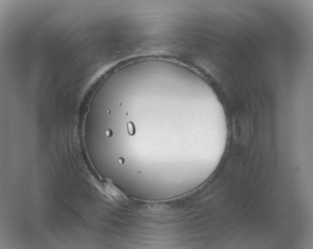 X0000062151452200512231519