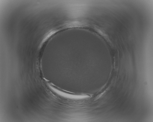 X0000062151453200512231519