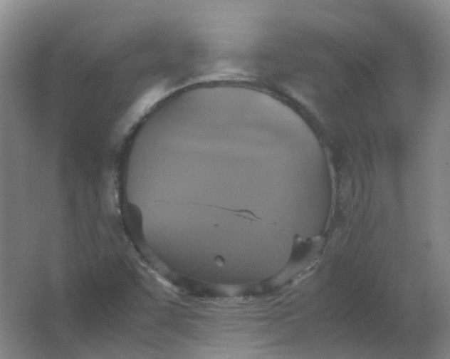 X0000062151455200512231519
