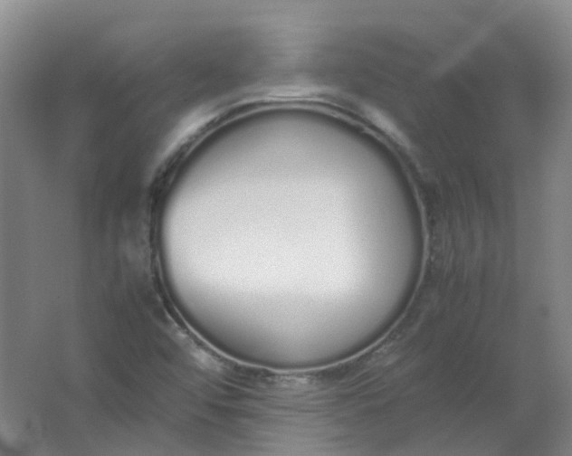 X0000062151456200512231519