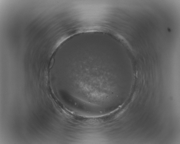 X0000062151457200512231519
